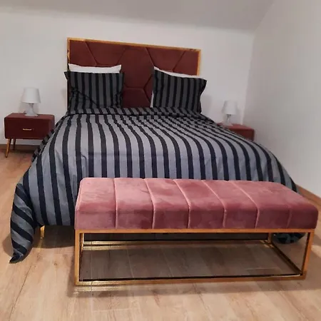 Luxury Maladiere 2 * דיז'ון